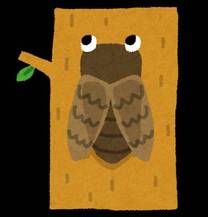 �u���O�摜