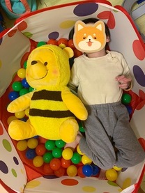 �u���O�摜