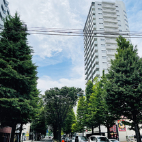 �u���O�摜