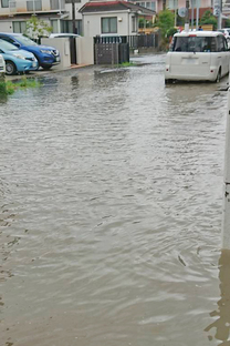 �u���O�摜