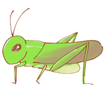 �u���O�摜