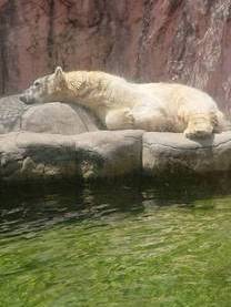 �u���O�摜