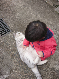 �u���O�摜