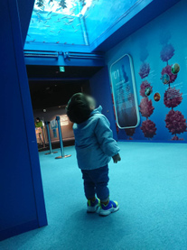 �u���O�摜