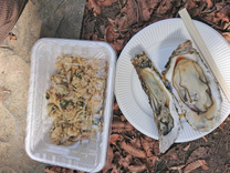 �u���O�摜