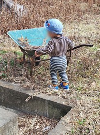 �u���O�摜