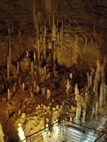 �u���O�摜