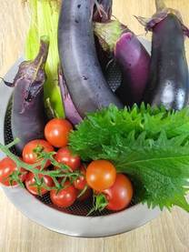 �u���O�摜