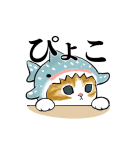 ҂傱