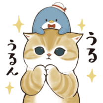 (o^^o)