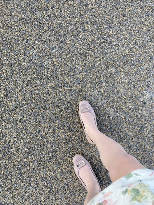 L̉摜1