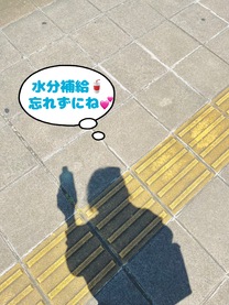 �u���O�摜