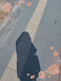 �u���O�摜