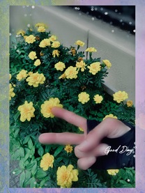 �u���O�摜