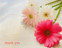 11�����@...