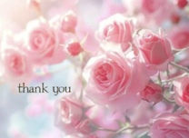 14���@T����