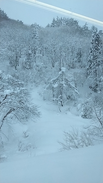 ����܂�����