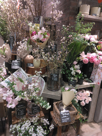 ����̂���