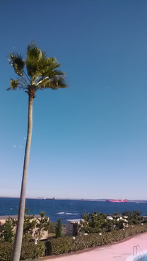 ����ɂ�...