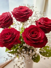 �u���O�摜