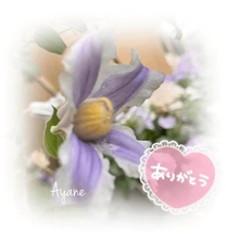 �u���O�摜