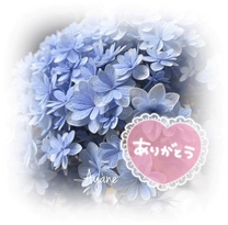 �u���O�摜