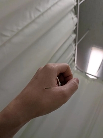 �u���O�摜