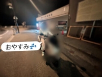 �u���O�摜