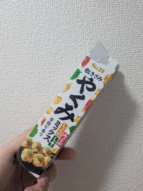 �u���O�摜