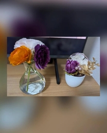 �����̂�...