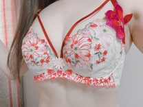 �u���O�摜