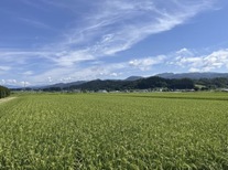 �u���O�摜