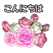 �u���O�摜