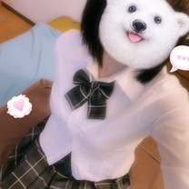 �u���O�摜