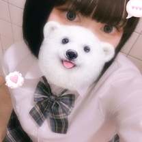 �u���O�摜