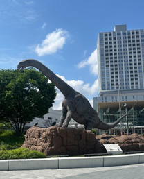点