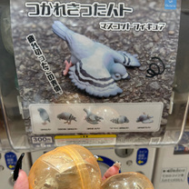 ꂫ...