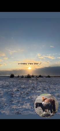 ���ε����β���