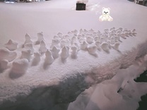 ���ε����β���