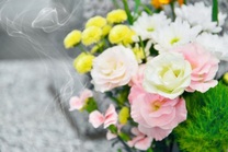 �u���O�摜