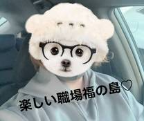 �u���O�摜