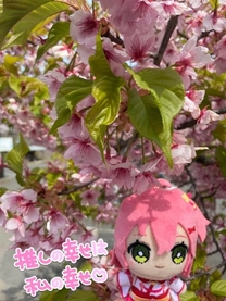 ���ε����β���