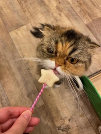 ���ε����β���