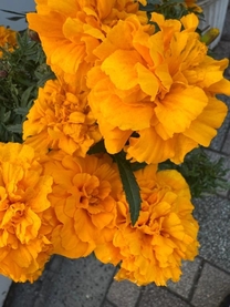 ���ε����β���