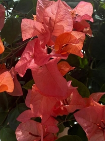 ���ε����β���