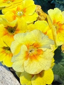 ���ε����β���