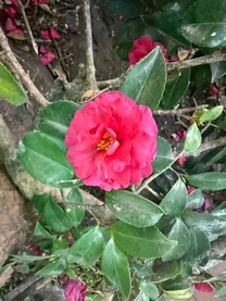 ���ε����β���