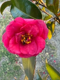 ���ε����β���