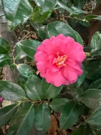 ���ε����β���