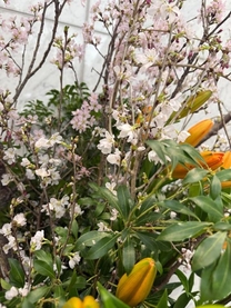 ���ε����β���